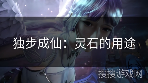 独步成仙：灵石的用途