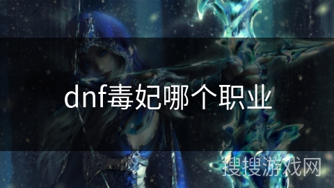 dnf毒妃哪个职业