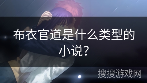 布衣官道是什么类型的小说？