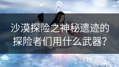 沙漠探险之神秘遗迹的探险者们用什么武器？