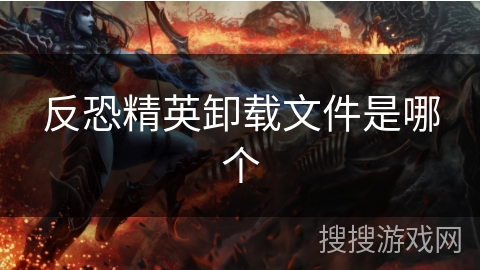 反恐精英卸载文件是哪个