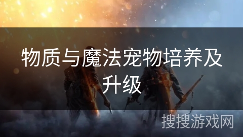 物质与魔法宠物培养及升级