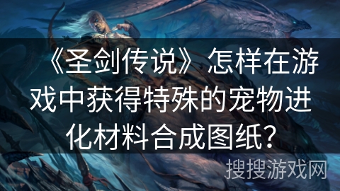 《圣剑传说》怎样在游戏中获得特殊的宠物进化材料合成图纸？