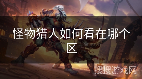 怪物猎人如何看在哪个区