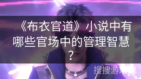 《布衣官道》小说中有哪些官场中的管理智慧？