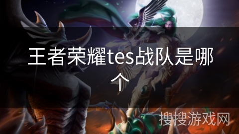 王者荣耀tes战队是哪个 王者荣耀tes战队是哪个