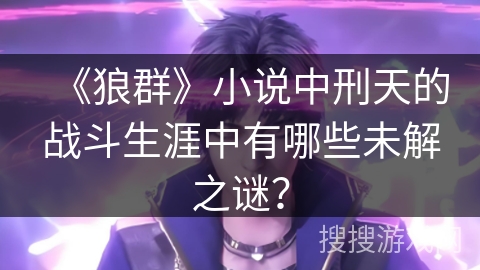 《狼群》小说中刑天的战斗生涯中有哪些未解之谜？
