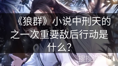 《狼群》小说中刑天的之一次重要敌后行动是什么？