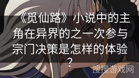 《觅仙路》小说中的主角在异界的之一次参与宗门决策是怎样的体验？