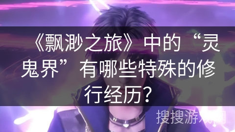 《飘渺之旅》中的“灵鬼界”有哪些特殊的修行经历？