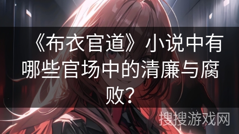 《布衣官道》小说中有哪些官场中的清廉与腐败？