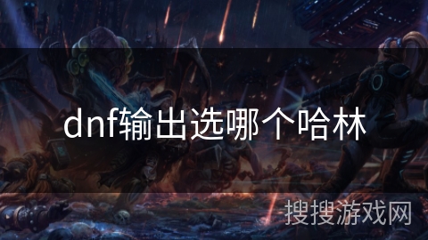 dnf输出选哪个哈林