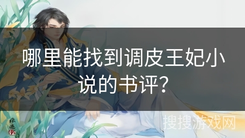 哪里能找到调皮王妃小说的书评？