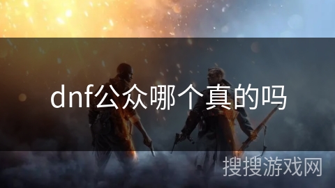dnf公众哪个真的吗