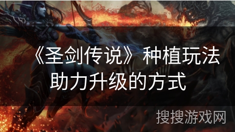 《圣剑传说》种植玩法助力升级的方式