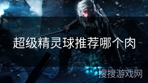 超级精灵球推荐哪个肉
