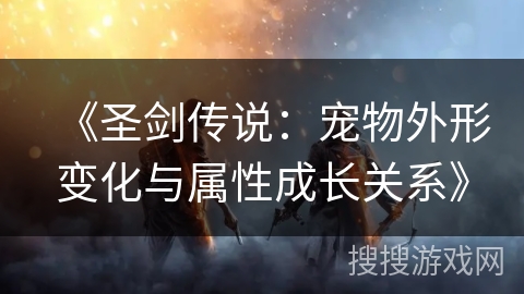 《圣剑传说：宠物外形变化与属性成长关系》