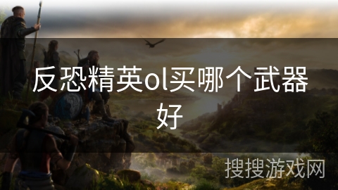 反恐精英ol买哪个武器好