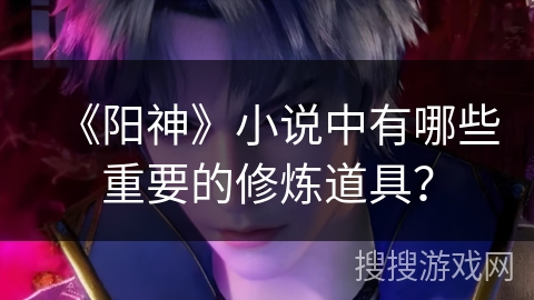 《阳神》小说中有哪些重要的修炼道具？