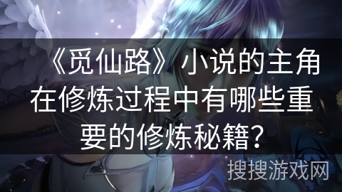 《觅仙路》小说的主角在修炼过程中有哪些重要的修炼秘籍？