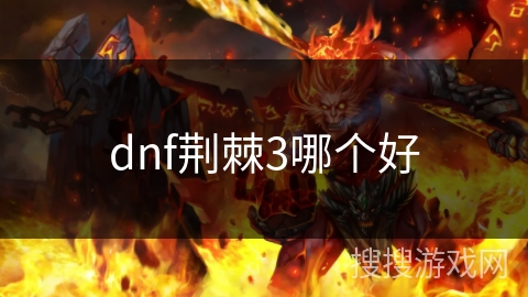 dnf荆棘3哪个好