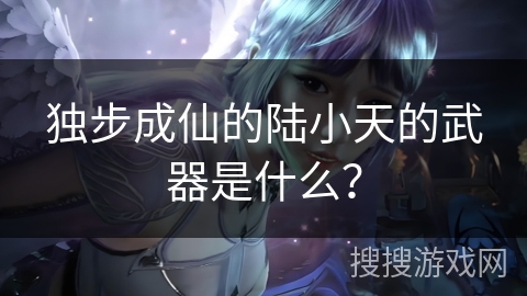 独步成仙的陆小天的武器是什么？