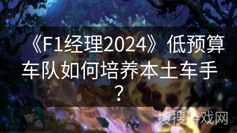 《F1经理2024》低预算车队如何培养本土车手？