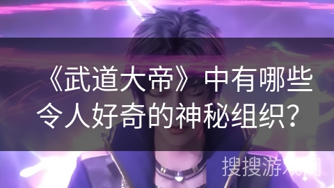 《武道大帝》中有哪些令人好奇的神秘组织？