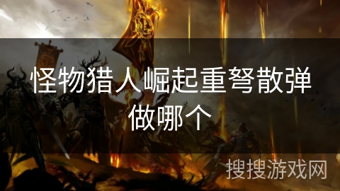 怪物猎人崛起重弩散弹做哪个