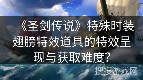 《圣剑传说》特殊时装翅膀特效道具的特效呈现与获取难度？