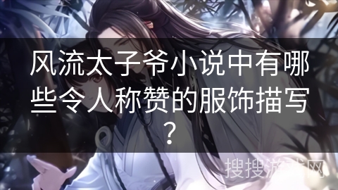 风流太子爷小说中有哪些令人称赞的服饰描写？