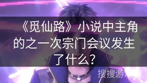 《觅仙路》小说中主角的之一次宗门会议发生了什么？