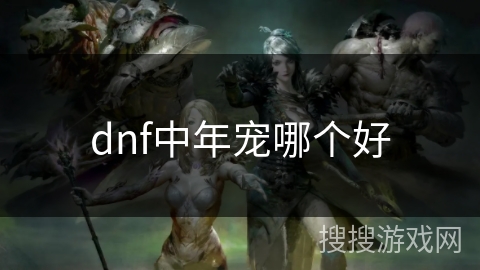 dnf中年宠哪个好