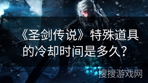 《圣剑传说》特殊道具的冷却时间是多久？