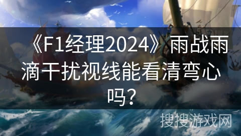 《F1经理2024》雨战雨滴干扰视线能看清弯心吗？