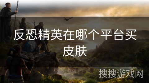 反恐精英在哪个平台买皮肤