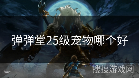 弹弹堂25级宠物哪个好