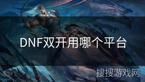 DNF双开用哪个平台 DNF双开用哪个平台