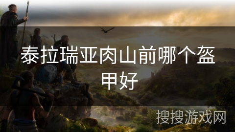 泰拉瑞亚肉山前哪个盔甲好