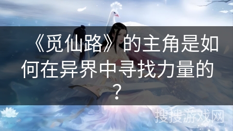 《觅仙路》的主角是如何在异界中寻找力量的？