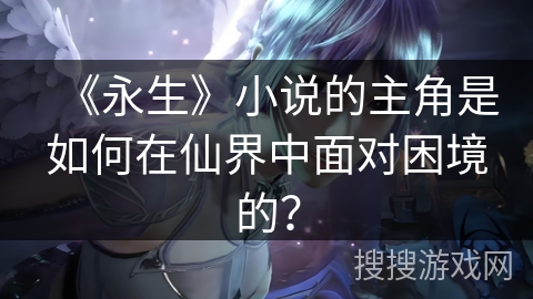 《永生》小说的主角是如何在仙界中面对困境的？
