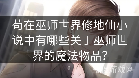 苟在巫师世界修地仙小说中有哪些关于巫师世界的魔法物品？