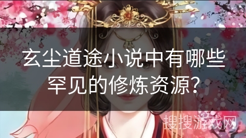 玄尘道途小说中有哪些罕见的修炼资源？
