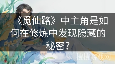 《觅仙路》中主角是如何在修炼中发现隐藏的秘密？