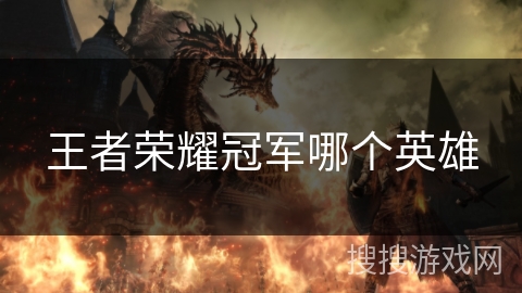 王者荣耀冠军哪个英雄