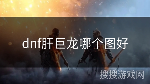 dnf肝巨龙哪个图好