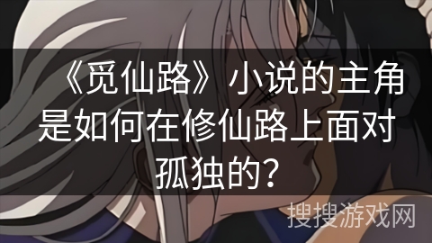 《觅仙路》小说的主角是如何在修仙路上面对孤独的？