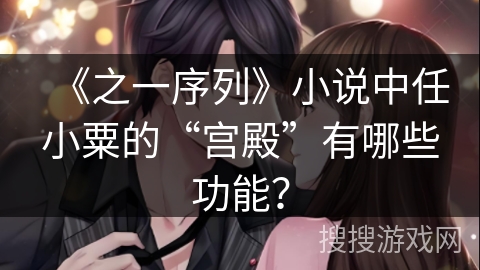 《之一序列》小说中任小粟的“宫殿”有哪些功能？