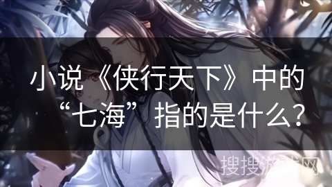 小说《侠行天下》中的“七海”指的是什么？
