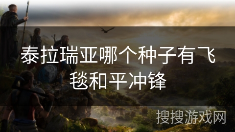 泰拉瑞亚哪个种子有飞毯和平冲锋